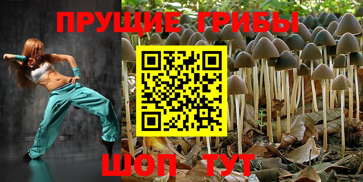 Псилоцибиновые грибы мухоморы Холмск